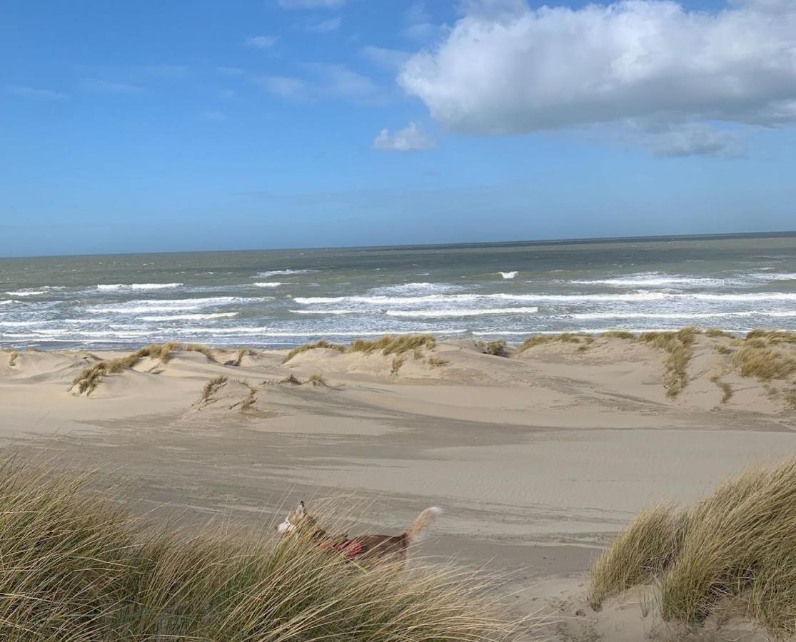 Moderne Studio Aan Het Strand In Oostduinkerke-Bad Koksijde Eksteriør bilde